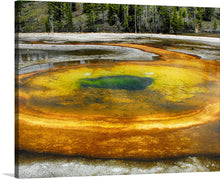  This artwork, titled “Yellowstone,” captures the mesmerizing beauty of a natural hot spring. The vibrant colors of the pool, ranging from warm yellows to rich oranges and deep greens, are a result of mineral deposits and microbial mats, creating a stunning visual spectacle. The surrounding lighter area and the backdrop of a tranquil forest add to the overall serenity of the scene. 