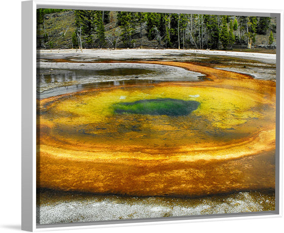 "Yellowstone"