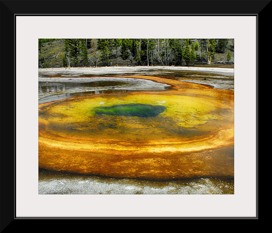 "Yellowstone"