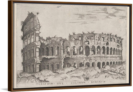 "Speculum Romanae Magnificentiae: The Colosseum"