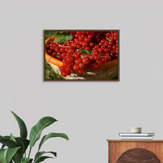 "Red currants in bowl"