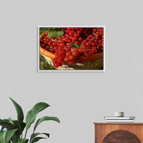 "Red currants in bowl"