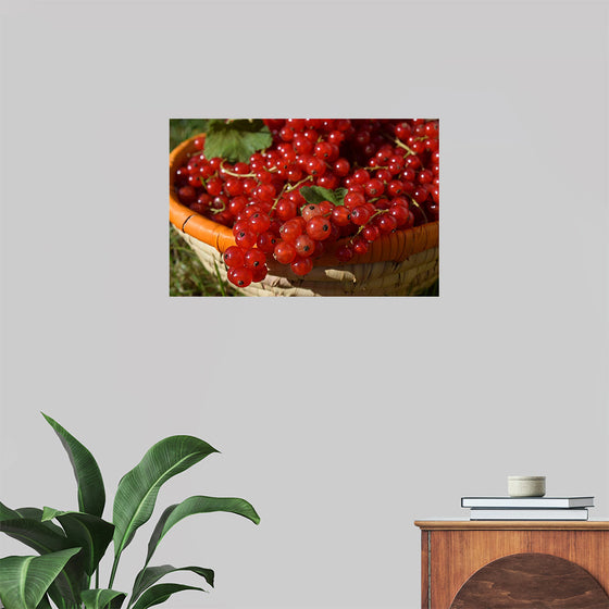 "Red currants in bowl"