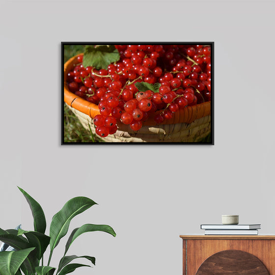 "Red currants in bowl"