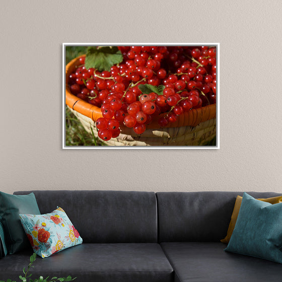 "Red currants in bowl"