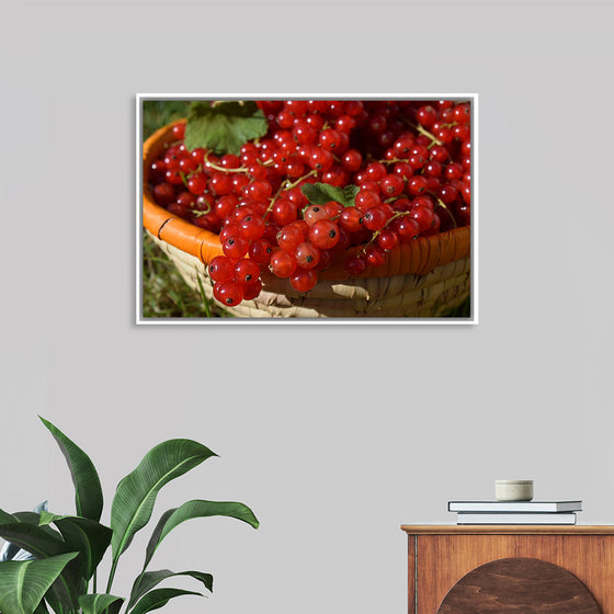 "Red currants in bowl"