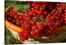  “Red Currants in a Bowl” is a stunning print that captures the essence of summer’s bounty. The image features a close-up view of red currants filling up and overflowing from a woven basket. The currants are bright red and glossy, reflecting light and showcasing their freshness.