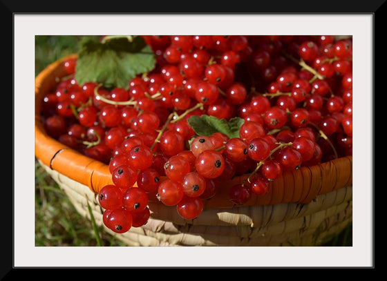 "Red currants in bowl"