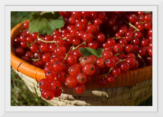 "Red currants in bowl"