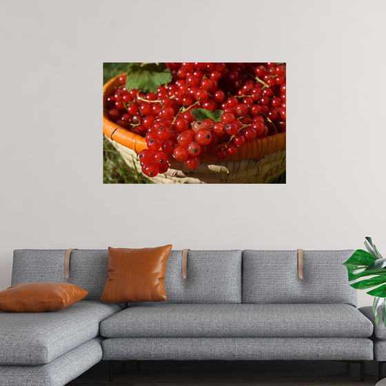 "Red currants in bowl"