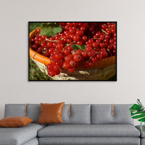 "Red currants in bowl"