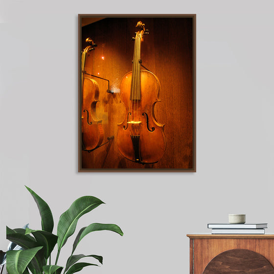 "Stringed instruments - Musical Instrument Museum, Brussels",  Daderot