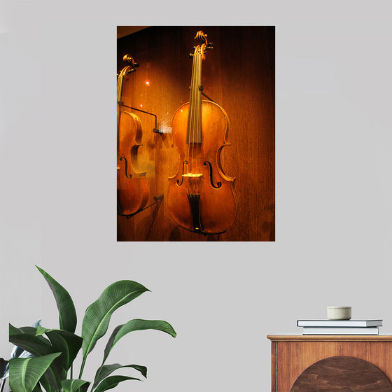 "Stringed instruments - Musical Instrument Museum, Brussels",  Daderot