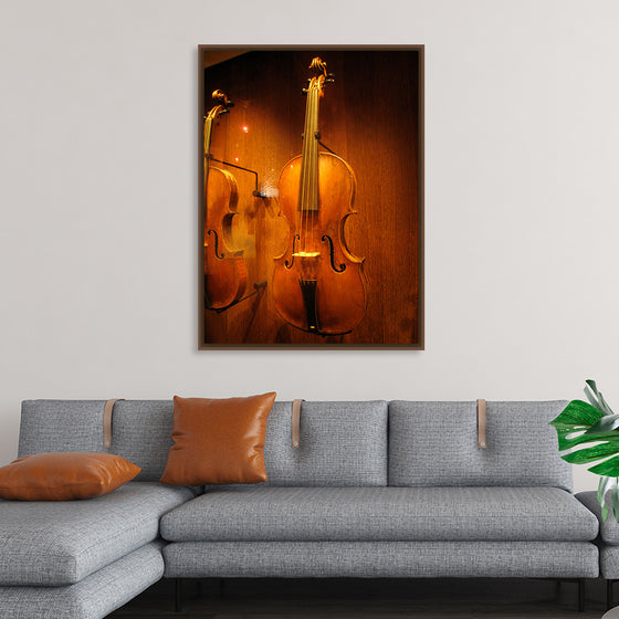 "Stringed instruments - Musical Instrument Museum, Brussels",  Daderot