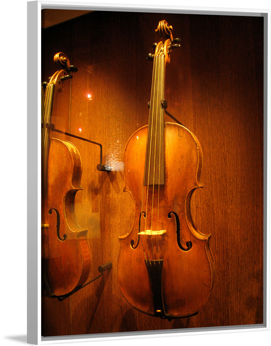 "Stringed instruments - Musical Instrument Museum, Brussels",  Daderot