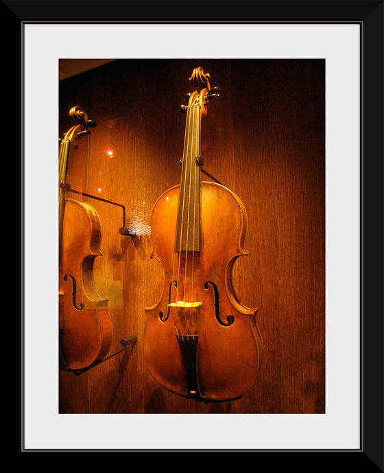 "Stringed instruments - Musical Instrument Museum, Brussels",  Daderot