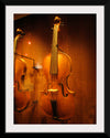 "Stringed instruments - Musical Instrument Museum, Brussels",  Daderot