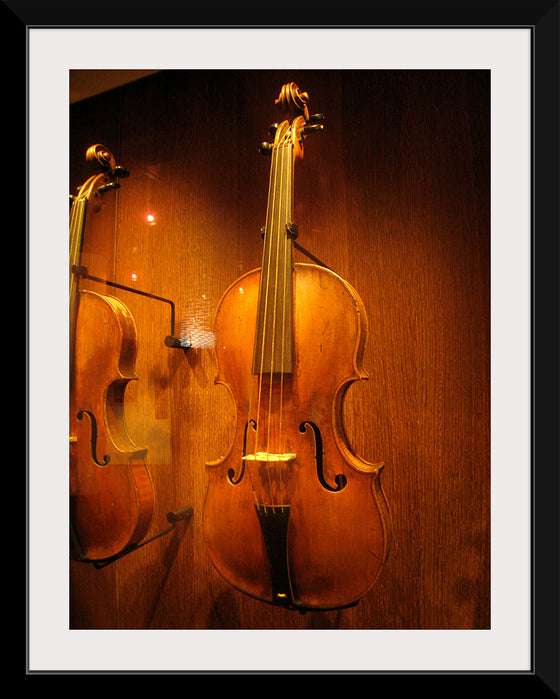 "Stringed instruments - Musical Instrument Museum, Brussels",  Daderot