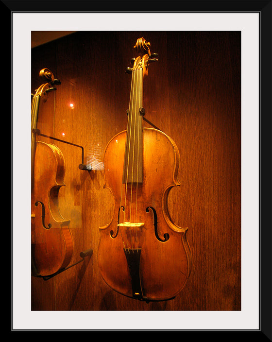 "Stringed instruments - Musical Instrument Museum, Brussels",  Daderot