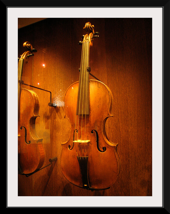 "Stringed instruments - Musical Instrument Museum, Brussels",  Daderot