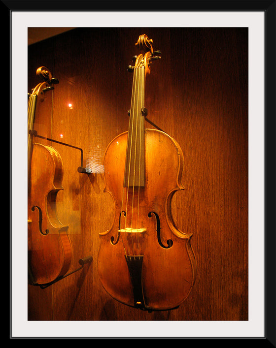 "Stringed instruments - Musical Instrument Museum, Brussels",  Daderot