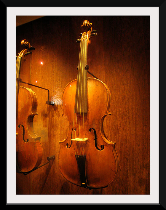 "Stringed instruments - Musical Instrument Museum, Brussels",  Daderot