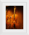 "Stringed instruments - Musical Instrument Museum, Brussels",  Daderot