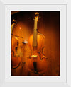 "Stringed instruments - Musical Instrument Museum, Brussels",  Daderot