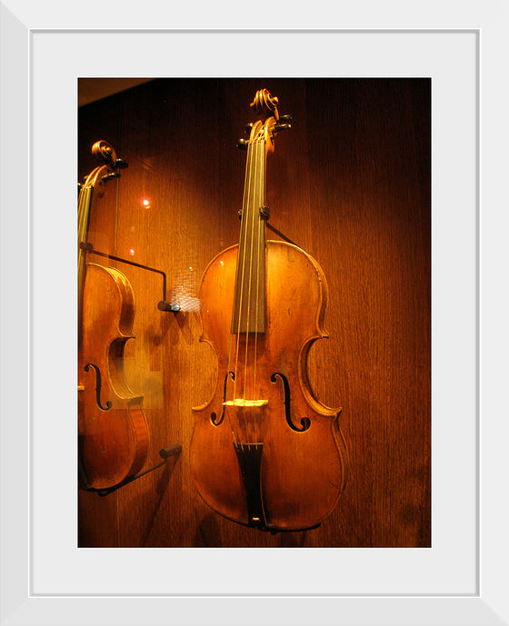 "Stringed instruments - Musical Instrument Museum, Brussels",  Daderot