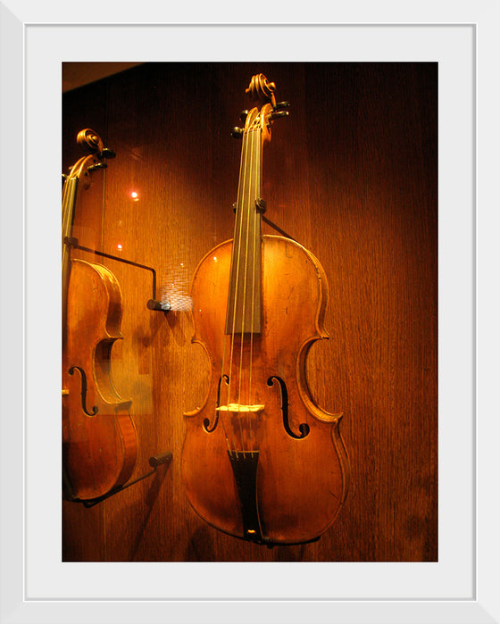 "Stringed instruments - Musical Instrument Museum, Brussels",  Daderot