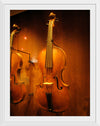 "Stringed instruments - Musical Instrument Museum, Brussels",  Daderot