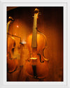 "Stringed instruments - Musical Instrument Museum, Brussels",  Daderot