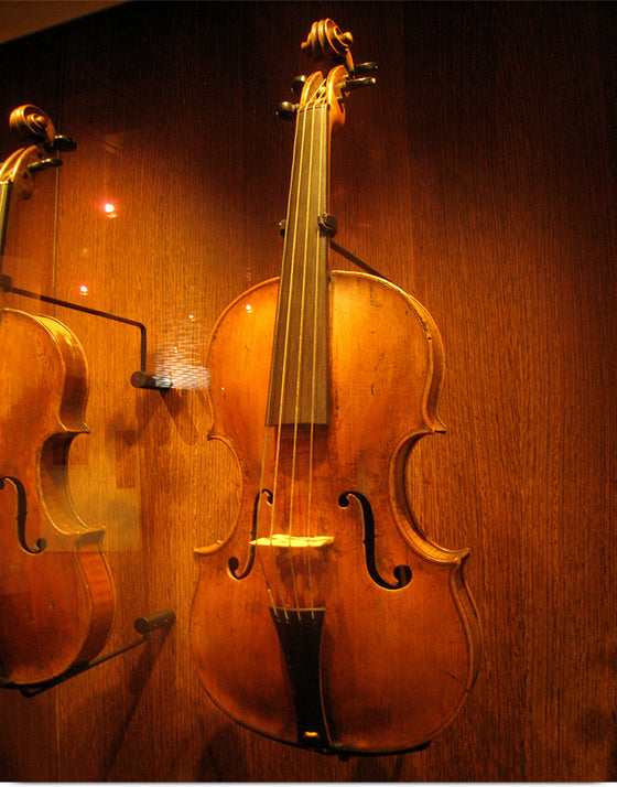 "Stringed instruments - Musical Instrument Museum, Brussels",  Daderot