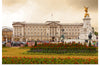 "Buckingham Palace", Petr Kratochvil