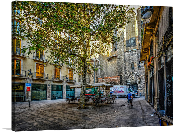 “Early Morning In Barcelona” is a beautiful print that captures the essence of the city. The print showcases the stunning architecture and quaint streets of Barcelona, with a peaceful and serene atmosphere. The image is taken in the early morning, with the sun shining through the trees. The street is lined with beautiful old buildings, with balconies and intricate details.