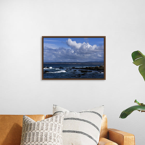 "Ocean Scenic Asilomar State Beach"