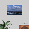 "Ocean Scenic Asilomar State Beach"