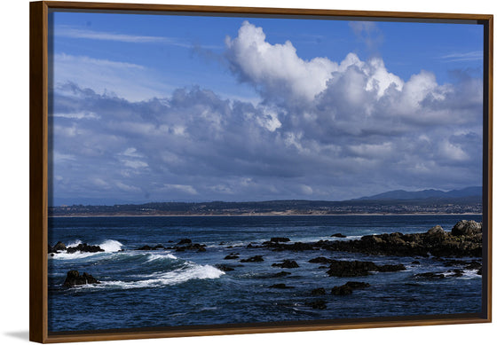 "Ocean Scenic Asilomar State Beach"