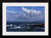 "Ocean Scenic Asilomar State Beach"