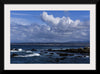 "Ocean Scenic Asilomar State Beach"