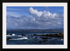 "Ocean Scenic Asilomar State Beach"