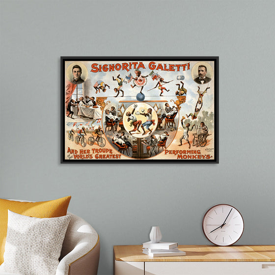 "Signorita Galetti and Her Troupe of the World’s Greatest Performing Monkeys!", Karen Arnold