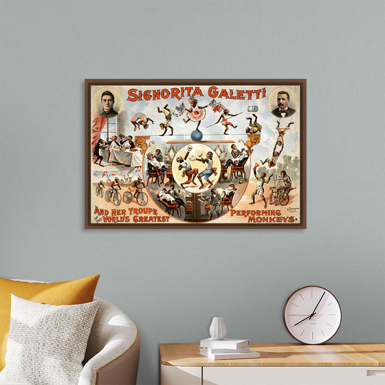 "Signorita Galetti and Her Troupe of the World’s Greatest Performing Monkeys!", Karen Arnold