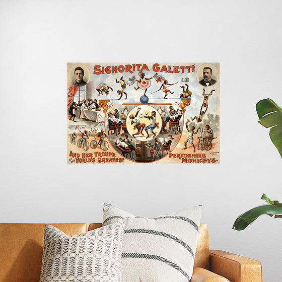 "Signorita Galetti and Her Troupe of the World’s Greatest Performing Monkeys!", Karen Arnold