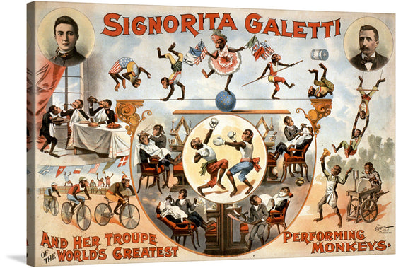 Step right up and immerse yourself in the whimsical world of “Signorita Galetti and Her Troupe of the World’s Greatest Performing Monkeys!” This vibrant print captures the golden age of circus entertainment. Each corner is a spectacle, showcasing talented monkeys engaging in human-like activities - from dining in elegance to performing daring acrobatics. 