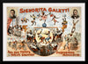 "Signorita Galetti and Her Troupe of the World’s Greatest Performing Monkeys!", Karen Arnold