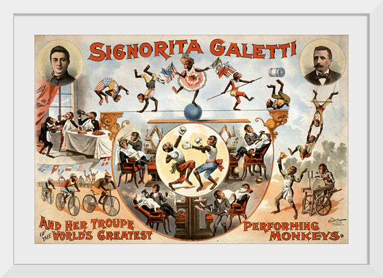 "Signorita Galetti and Her Troupe of the World’s Greatest Performing Monkeys!", Karen Arnold