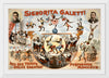 "Signorita Galetti and Her Troupe of the World’s Greatest Performing Monkeys!", Karen Arnold