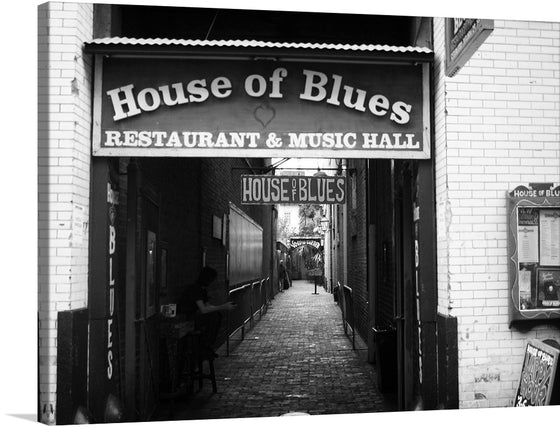 Step into the world of rhythm and melody with this captivating print of the iconic “House of Blues New Orleans - Entrance Alley” by Derek Key. Every detail, from the vintage signage to the inviting alleyway, is captured in stunning black and white, evoking a sense of nostalgia.