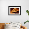 "Stetson cowboy hat 1950", oo0(GoldTrader)0oo-